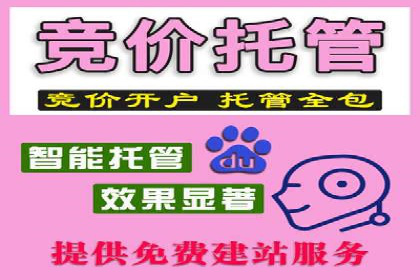 提升广告质量：SEM竞价员的成功案例分享